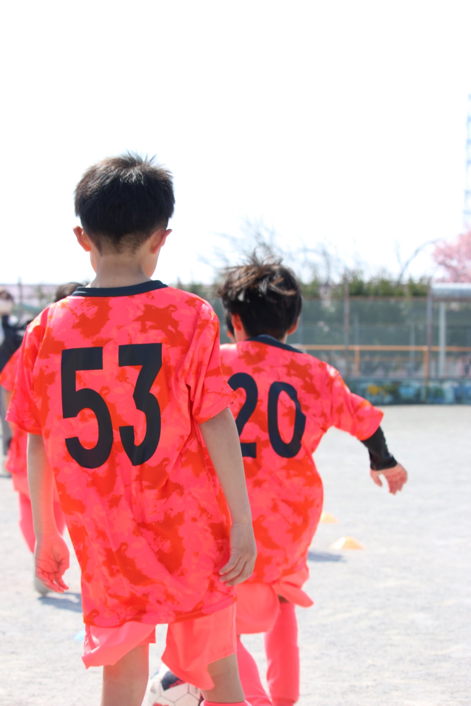 東京町田成瀬サッカークラブ